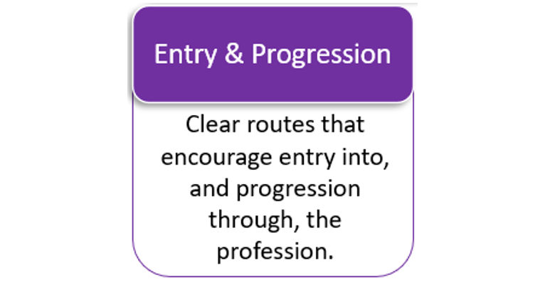 CDI 2030 strategy- entry and progression