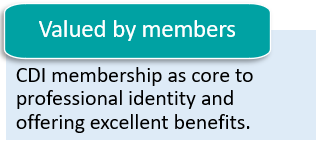 CDI 2030 strategy- members