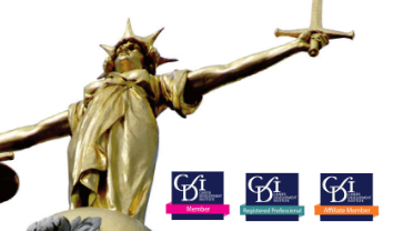 Ethics and Professional Standards Committee