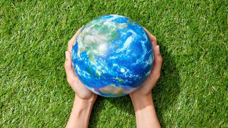 Challenges for vocational training in the green transition